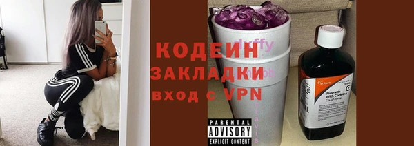 гашик Билибино