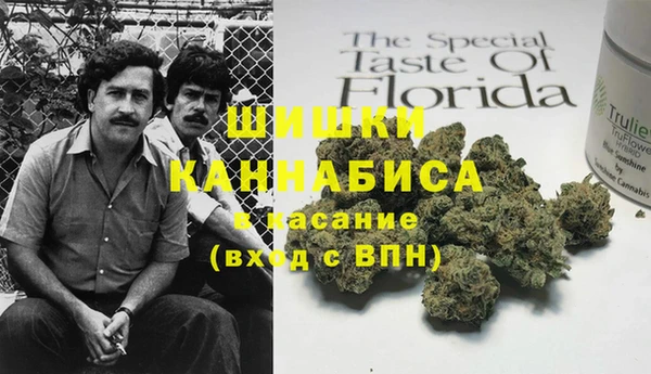 гашик Билибино