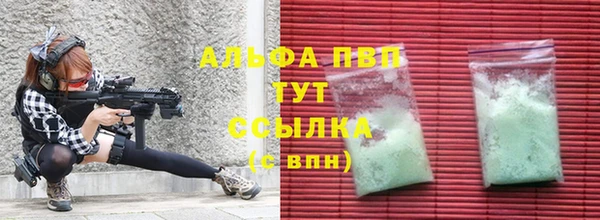 гашик Билибино
