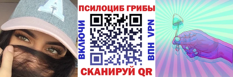 как найти   Старая Купавна  blacksprut как войти  Псилоцибиновые грибы мицелий 